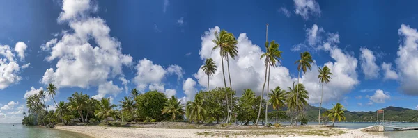 Exotic Palm Beach Motu Ofetaro Raiatea French Polynesia — Stock Photo, Image