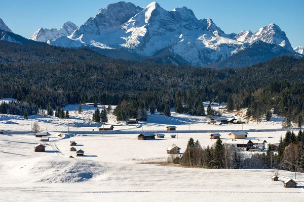 Bultrug Weiden Tussen Krn Mittenwald Winter — Stockfoto