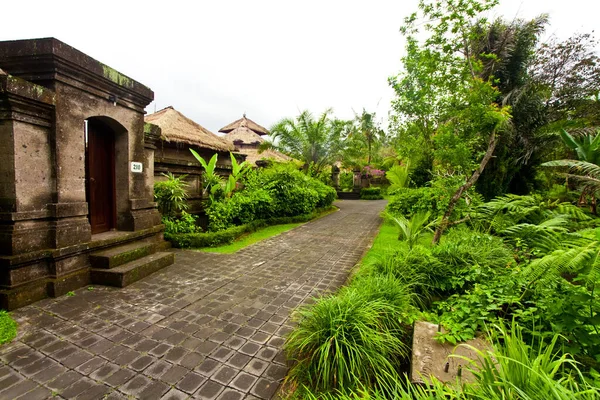 Terrazze Riso Bali — Foto Stock