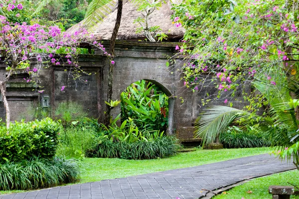 Bali Pirinç Terasları — Stok fotoğraf