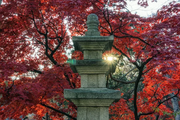 Gilsangsa Templet Pagoda Tower Landskap Tas Höstsäsongen Gilsangsa Ett Berömda — Stockfoto