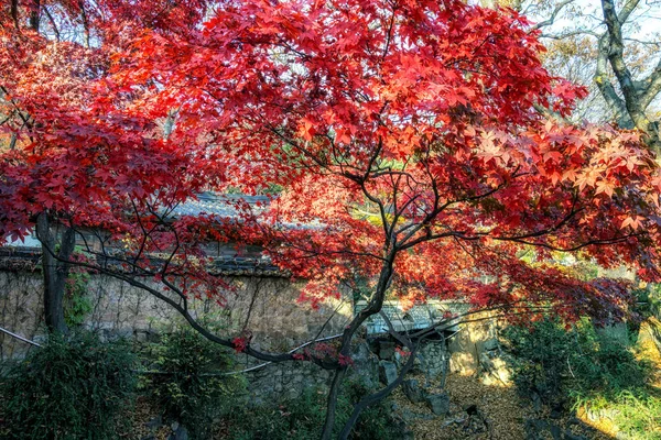 Gilsangheon Liten Buddhistiska Tempel Bostäder Gilsangsa Tempel Tagna Höstsäsongen Gilsangsa — Stockfoto