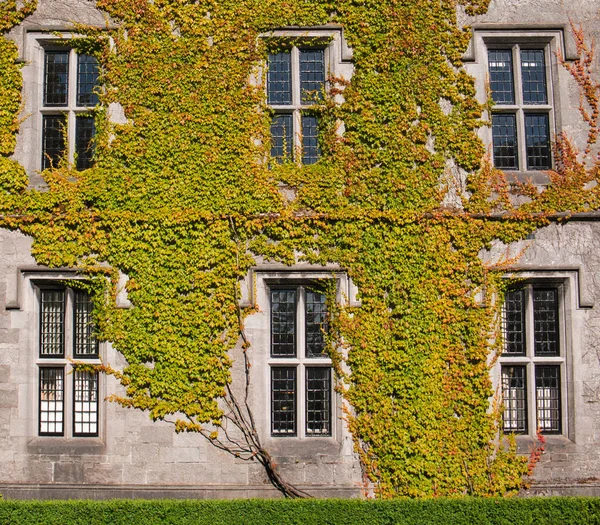 Een Gevel Van Een Oud Huis Met Planten Zes Windows — Stockfoto