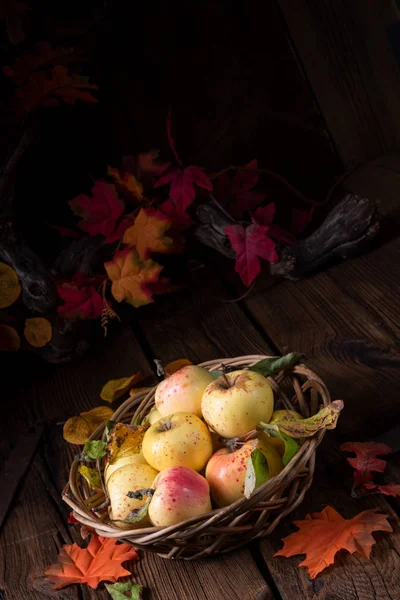 Pommes Bio Fraîches Savoureuses Dans Panier — Photo