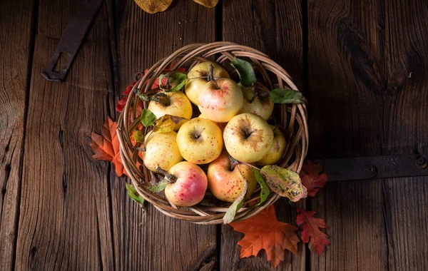 Pommes Bio Fraîches Savoureuses Dans Panier — Photo