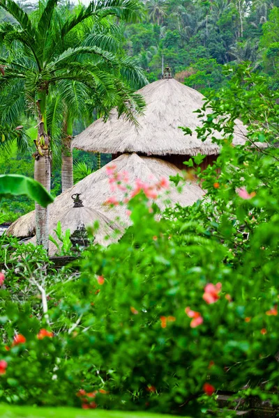 Rijstterrassen Bali — Stockfoto