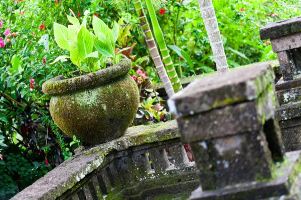 Reisterrassen Auf Bali — Stockfoto