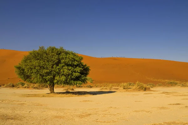 Namíbia Big Daddy Sossusvlei Nemzeti Parkban — Stock Fotó