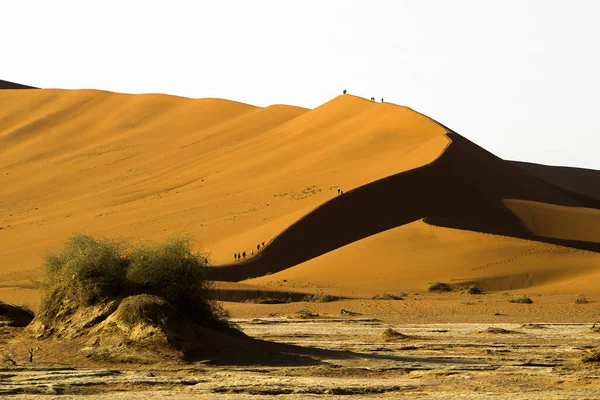 Namibia Big Daddy Sossusvlei National Park — Stock Photo, Image