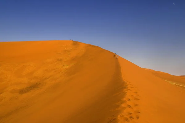 Namibia Wielki Tatuś Parku Narodowym Sossusvlei — Zdjęcie stockowe