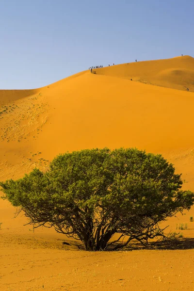 Namibia Big Daddy Sossusvlei National Park — 스톡 사진