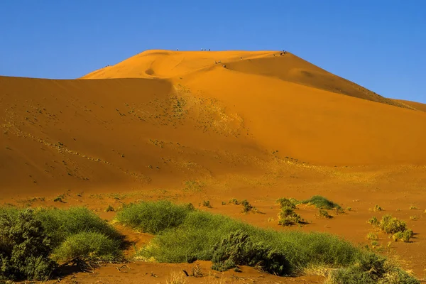 Namibia Big Daddy Parque Nacional Sossusvlei —  Fotos de Stock