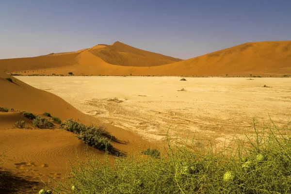 Namibia Wielki Tatuś Parku Narodowym Sossusvlei — Zdjęcie stockowe