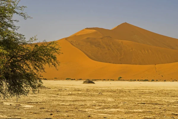 Namibia Big Daddy Sossusvlei National Park — 스톡 사진
