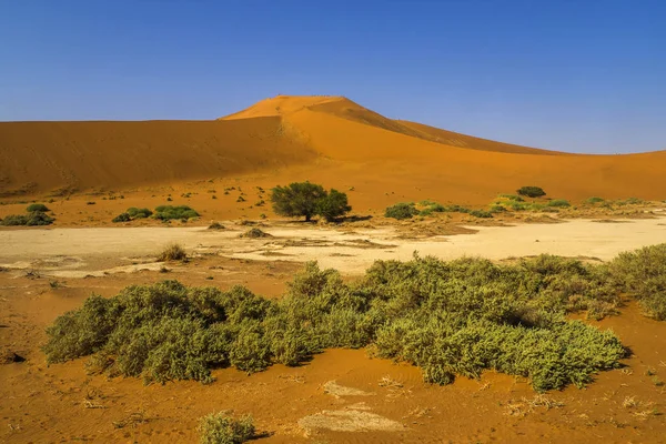 Namíbia Big Daddy Parque Nacional Sossusvlei — Fotografia de Stock