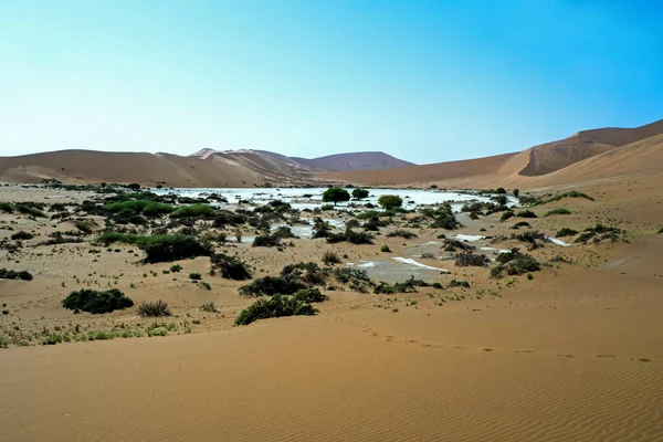 Namibië Big Daddy Het Sossusvlei National Park — Stockfoto