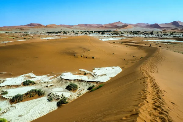 Namibia Wielki Tatuś Parku Narodowym Sossusvlei — Zdjęcie stockowe