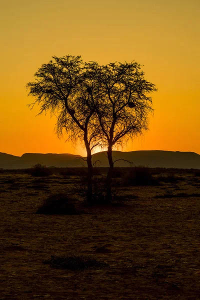 Namibia Sunset Hammerstein — стокове фото