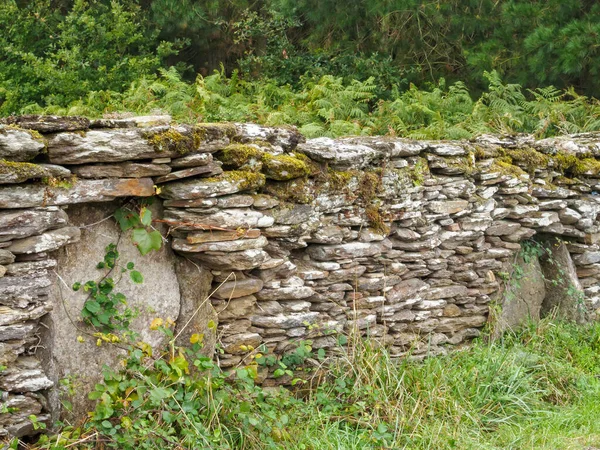 Старая Каменная Стена Покрытая Мохом Меркадойро Галисия Испания — стоковое фото