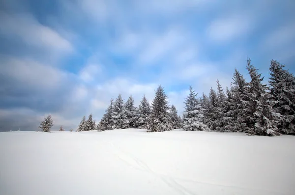 Fundo Natal Ano Novo Com Árvores Inverno Montanhas Cobertas Neve — Fotografia de Stock