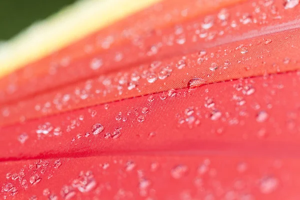 Červená Část Mnohobarevného Deštníku Kapkami Vody Dešti Detailní Záběr — Stock fotografie