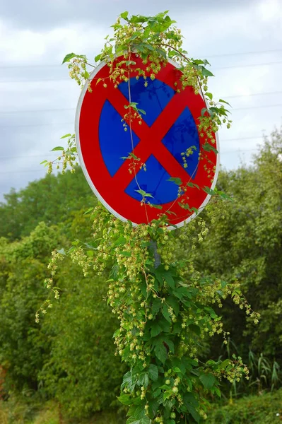 Hop Verkeersbord — Stockfoto