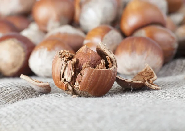 Braune Haselnüsse Der Schale Eine Nuss Ist Gebrochen Und Der — Stockfoto