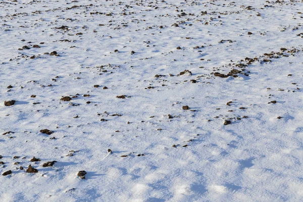 Snötäckt Mark Fältet Snöfall Och Vinterfrost Svart Bördig Jord Kan — Stockfoto