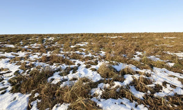 Snötäckt Mark Åkern Snöfall Och Vinterfrost Med Blå Himmel — Stockfoto