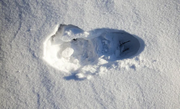 Spur Von Menschlichen Füßen Durch Tiefe Schneeverwehungen — Stockfoto