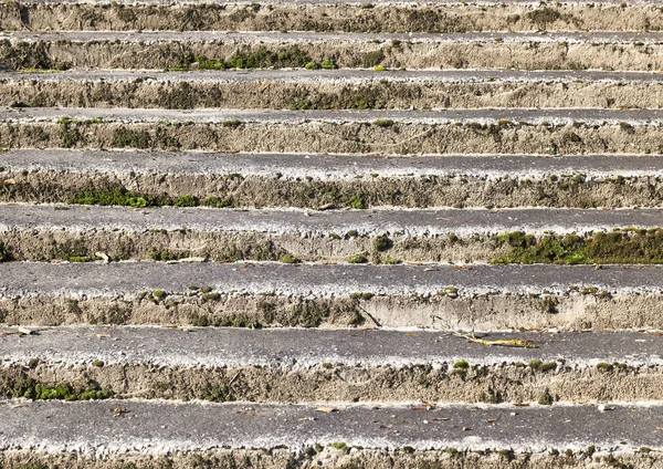 Старая Каменная Лестница Заброшенном Парке Ступеньках Лестницы Растут Мох Лишайник — стоковое фото