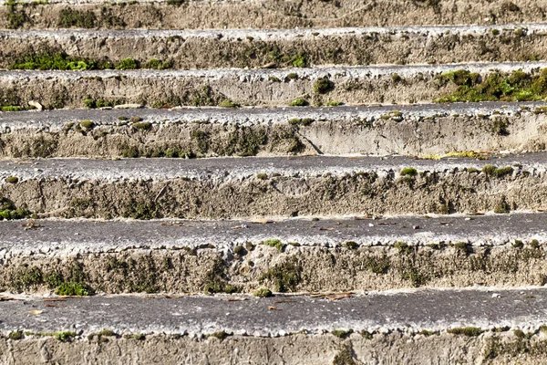 Alte Steintreppe Einem Verlassenen Park Auf Den Stufen Wachsen Moos — Stockfoto