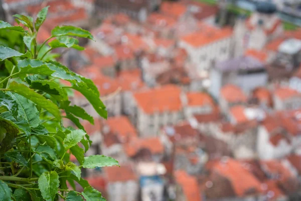 Vue Aérienne Des Toits Déconcentrés Des Maisons Tuiles Rouges Vieille — Photo