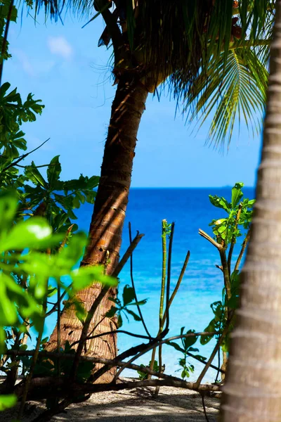 Holiday Paradise Beach — Stock Photo, Image