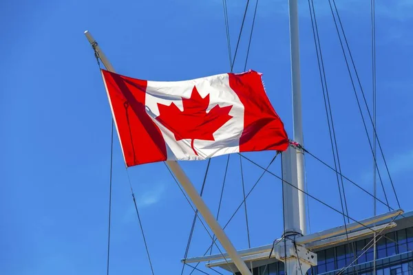 Drapeau Canadien Sur Navire Océanographique Acadia Halifax Halifax Nouvelle Écosse — Photo
