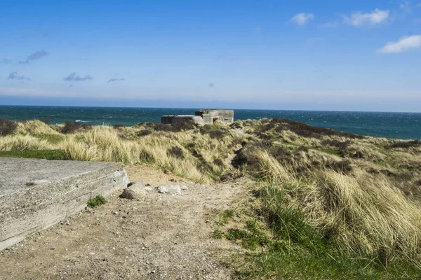 Mar Báltico Dinamarca Costa Skagen —  Fotos de Stock