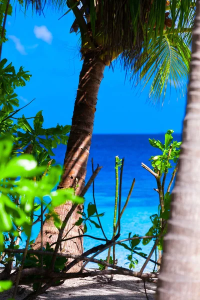 Vakantie Paradijs Het Strand — Stockfoto