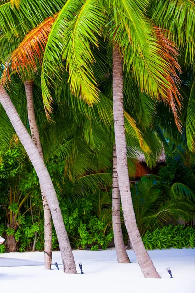 Holiday Paradise Beach — Stock Photo, Image