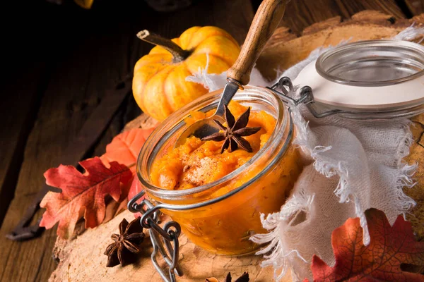 Delicious Autumnal Creamy Hokkaido Pumpkin Puree — Stock Photo, Image