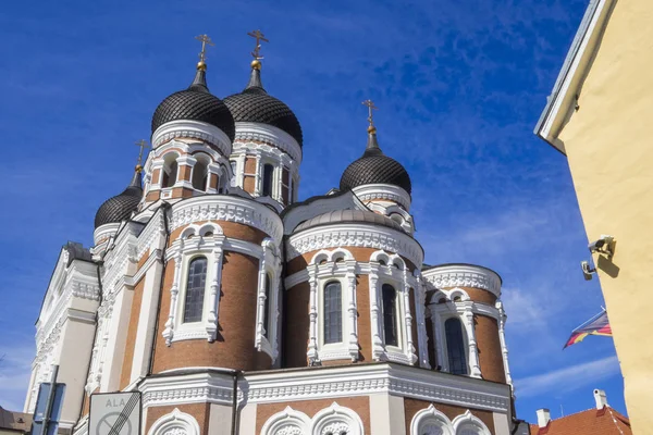 Észtország Tallinn Szent Sándor Nevszkij Katedrális — Stock Fotó