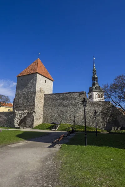 Эстония Таллин Таллинн — стоковое фото