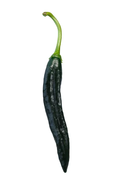 Pasilla Bajio Chilaca Chile Pepper Capsicum Annuum Green Pod 收割路径 — 图库照片