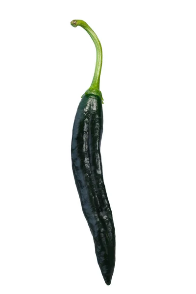 Pasilla Bajio Atau Chilaca Chile Pepper Capsicum Annuum Polong Hijau — Stok Foto