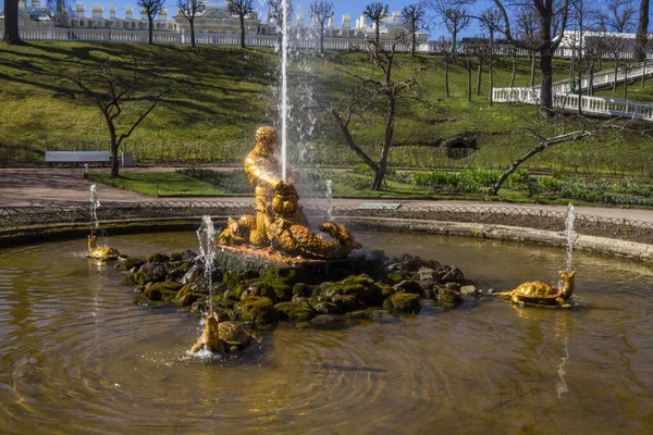 Peterhof Petersburg Russia — Stock Photo, Image