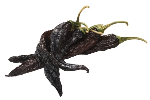 Pasilla Bajio Chiles Chilaca Secos Chile Negro Vainas Individuales — Foto de Stock