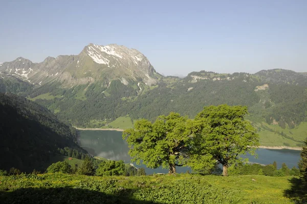 Paisaje Montaña Verano —  Fotos de Stock