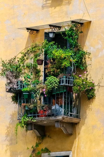 Vista Dall Architettura Veneziana — Foto Stock