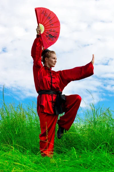 Beautiful Girl Practicing Kung — Stock Photo, Image