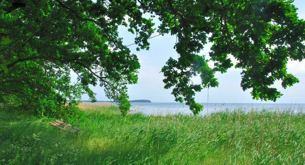 Malebný Pohled Ostrov Selektivní Zaměření — Stock fotografie