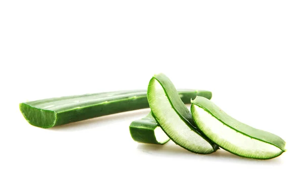 Aloe Vera Plant Isolated White Background — Stock Photo, Image